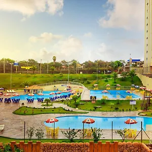 Golden Dolphin Express Oficial Brasil